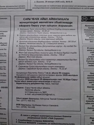 Сары-Челек айыл өкмөтү муниципалдык менчиктеги обьектилерди ижарага берүү боюнча аукцион жарыялайт